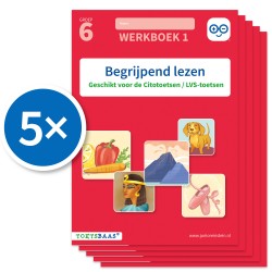Begrijpend lezen werkboek 1 (Set van 5)