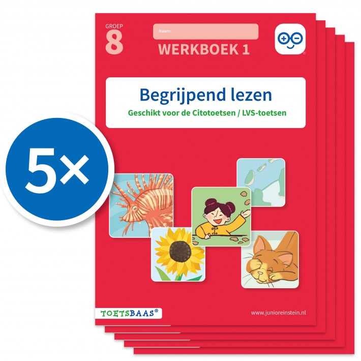 Begrijpend lezen 1 (Set van 5)