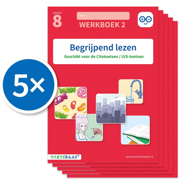 Begrijpend lezen (Set van 5)