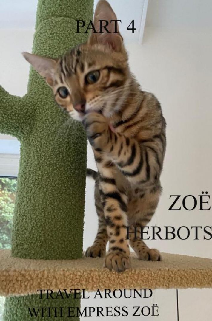 TRAVEL AROUND WITH EMPRESS ZOË