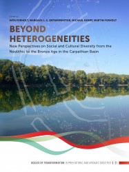 Beyond heterogeneities • Beyond heterogeneities