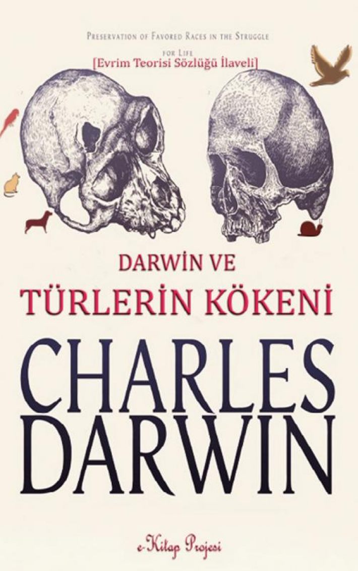 Türlerin Kökeni