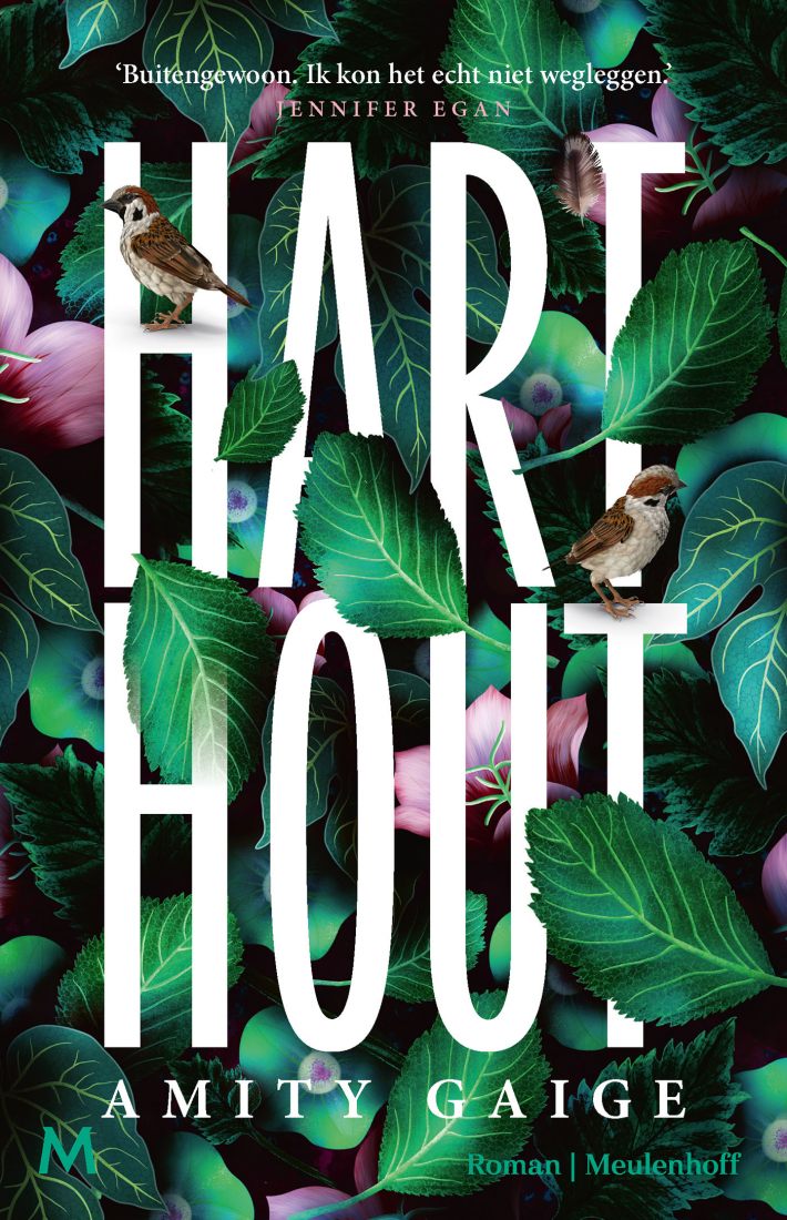 Harthout • Harthout