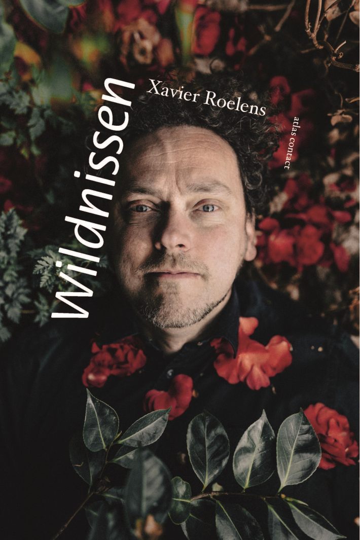 Wildnissen