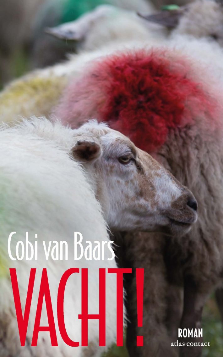 Vacht!