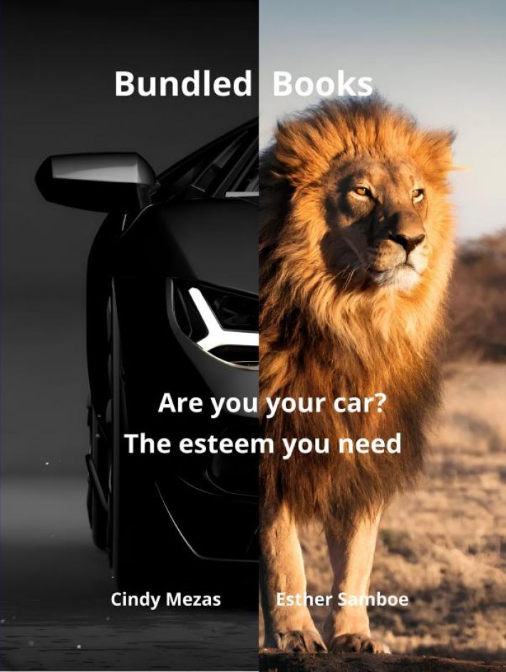 Bundled Books: Are You Your Car? | The Esteem You Need