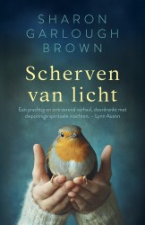 Scherven van licht • Scherven van licht