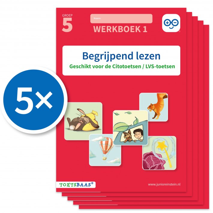 Begrijpend lezen werkboek 1 (Set van 5)
