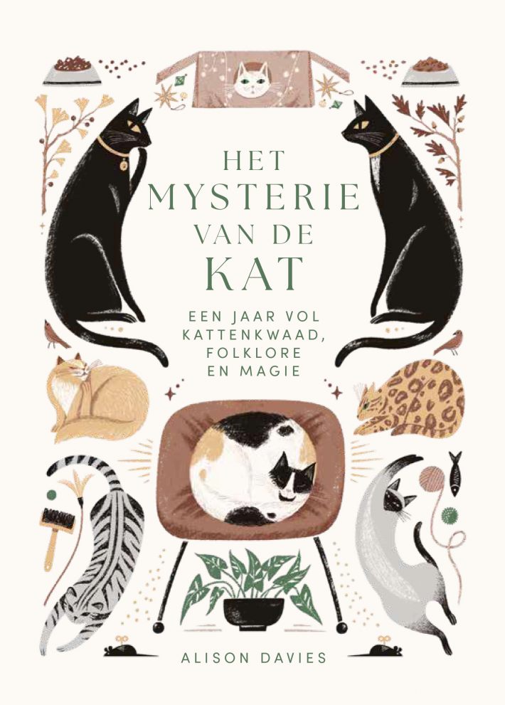 Het mysterie van de kat