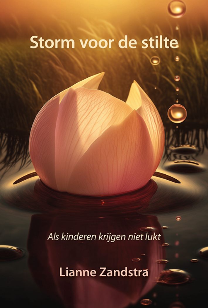 Storm voor de stilte