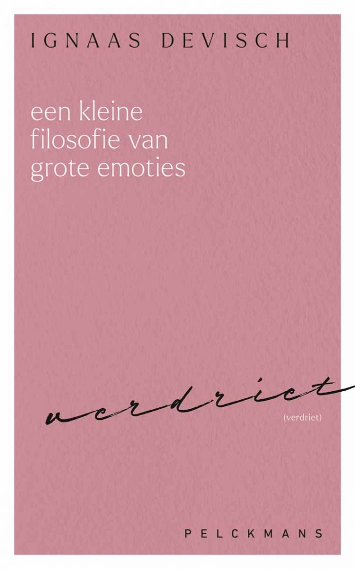 Een kleine filosofie van grote emoties: Verdriet