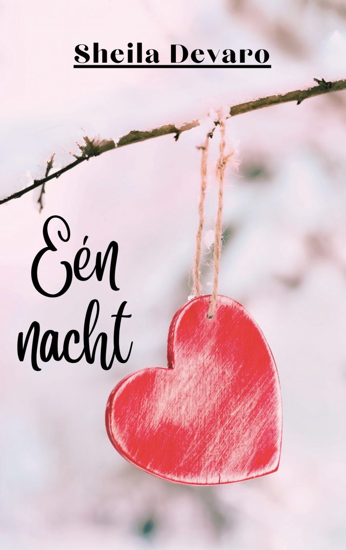 Eén nacht