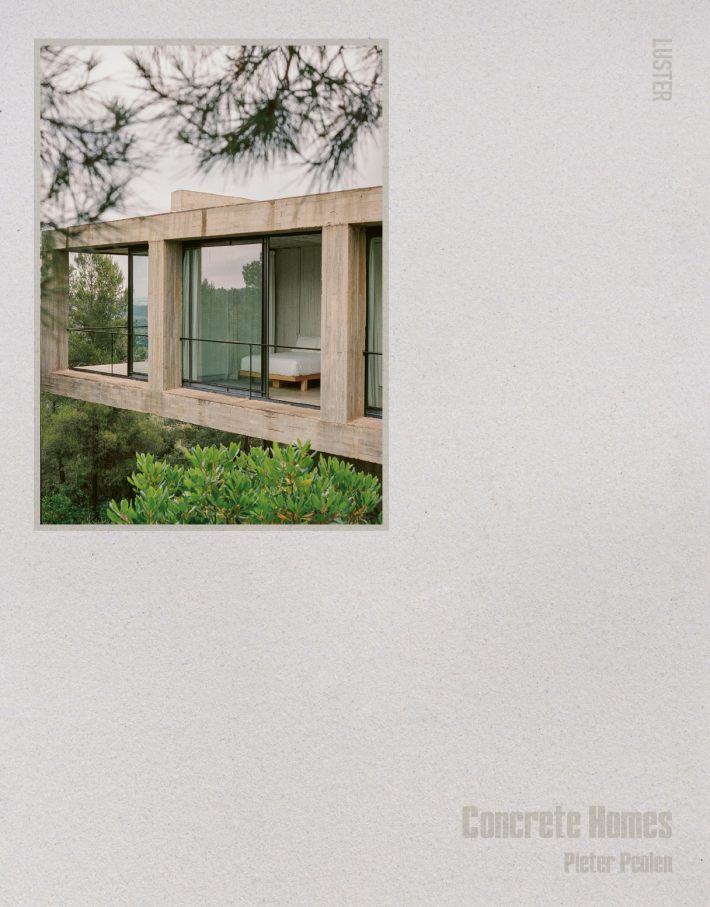 Brutalist homes