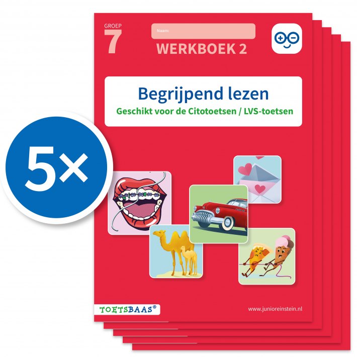 Begrijpend lezen werkboek 2 (Set van 5)