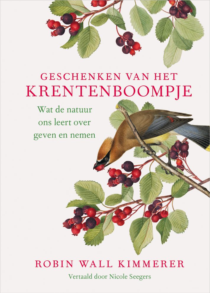 Geschenken van het krentenboompje • Geschenken van het krentenboompje