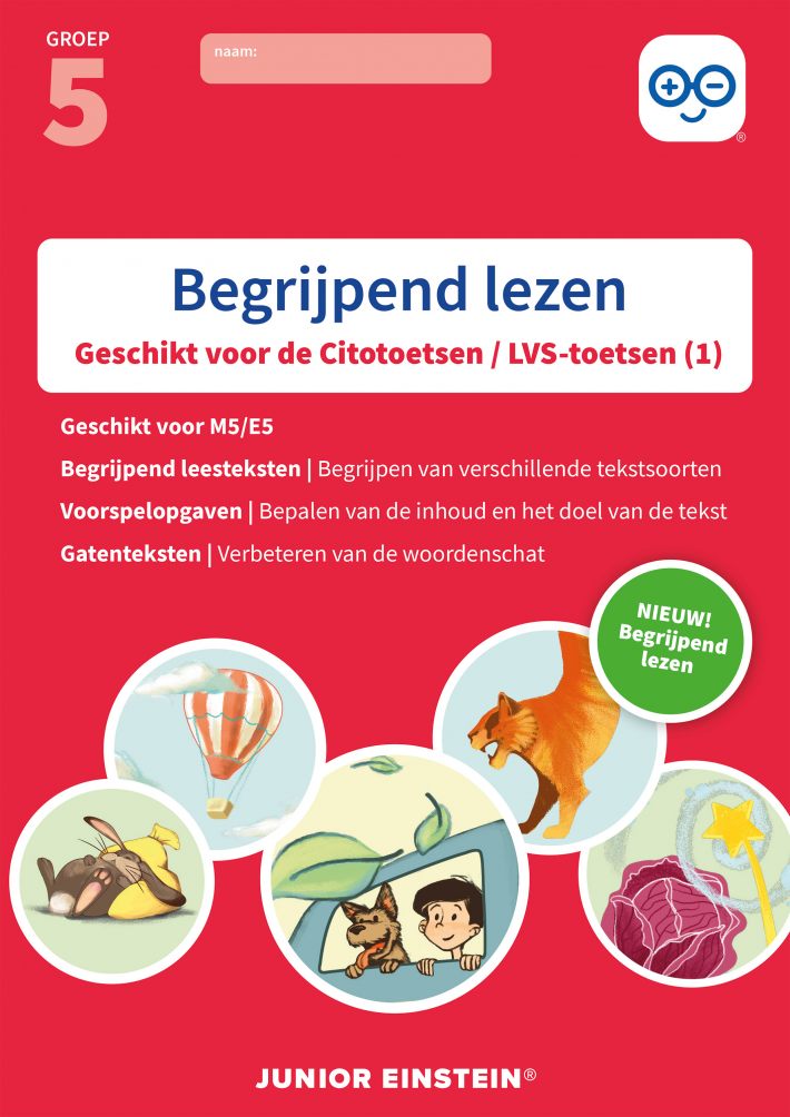 Begrijpend lezen
