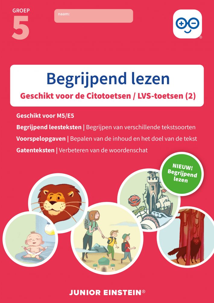 Begrijpend lezen