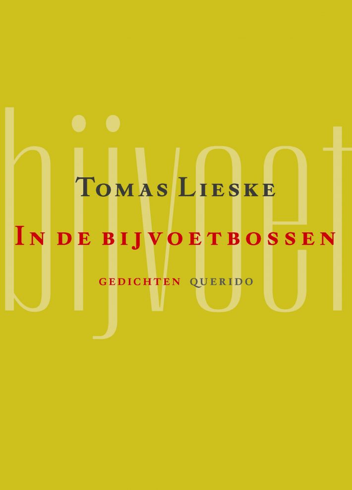 In de bijvoetbossen
