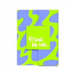 My notes - C'est la vie.