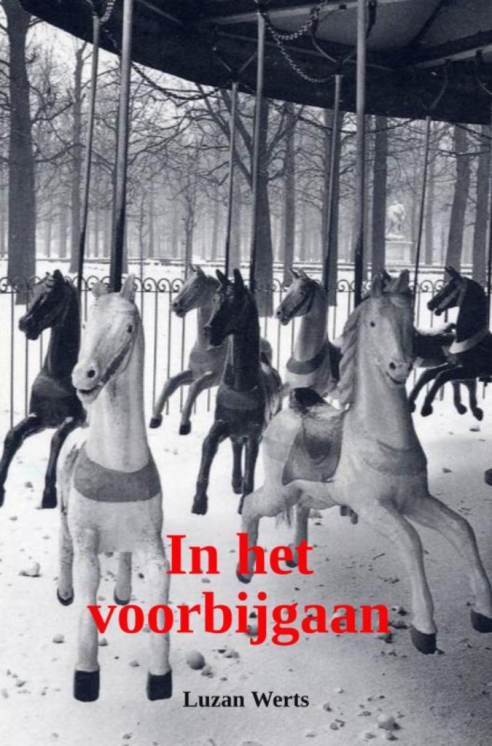 in het voorbijgaan