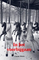 in het voorbijgaan