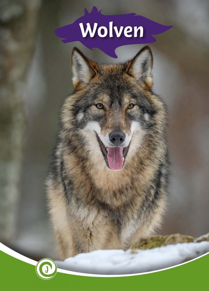 Wolven