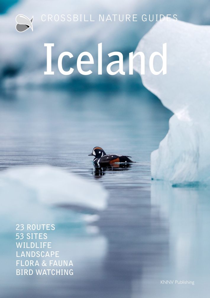 Crossbill Nature Guide Iceland