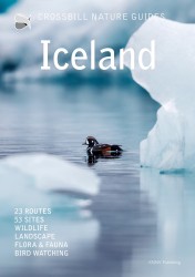 Crossbill Nature Guide Iceland