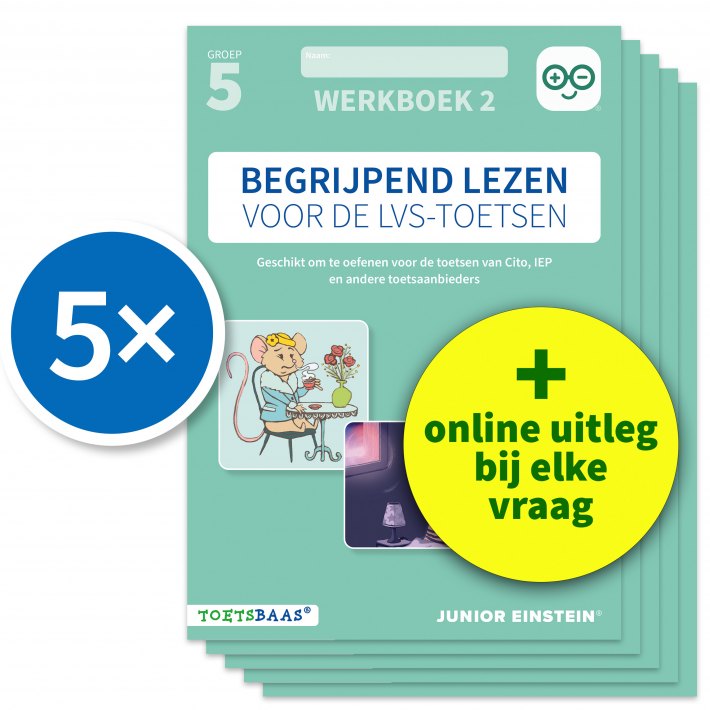 Begrijpend lezen voor de LVS-toetsen - Groep 5 - Werkboek 2 + Online video-uitleg (set van 5)