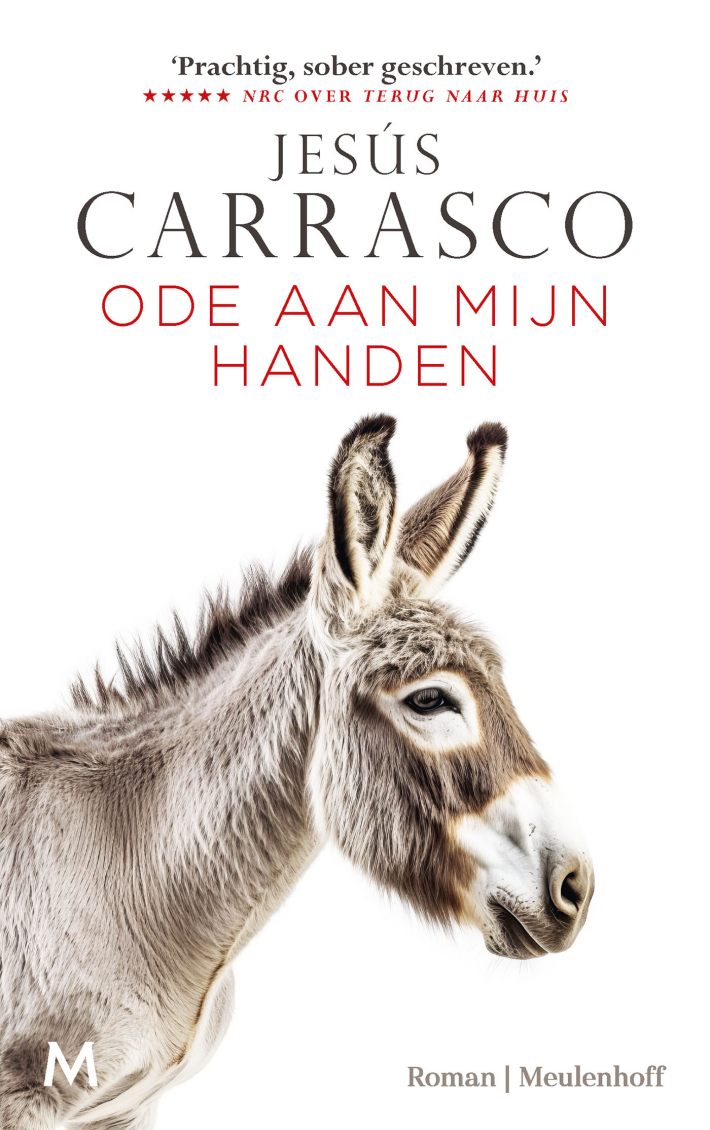 Ode aan mijn handen • Ode aan mijn handen