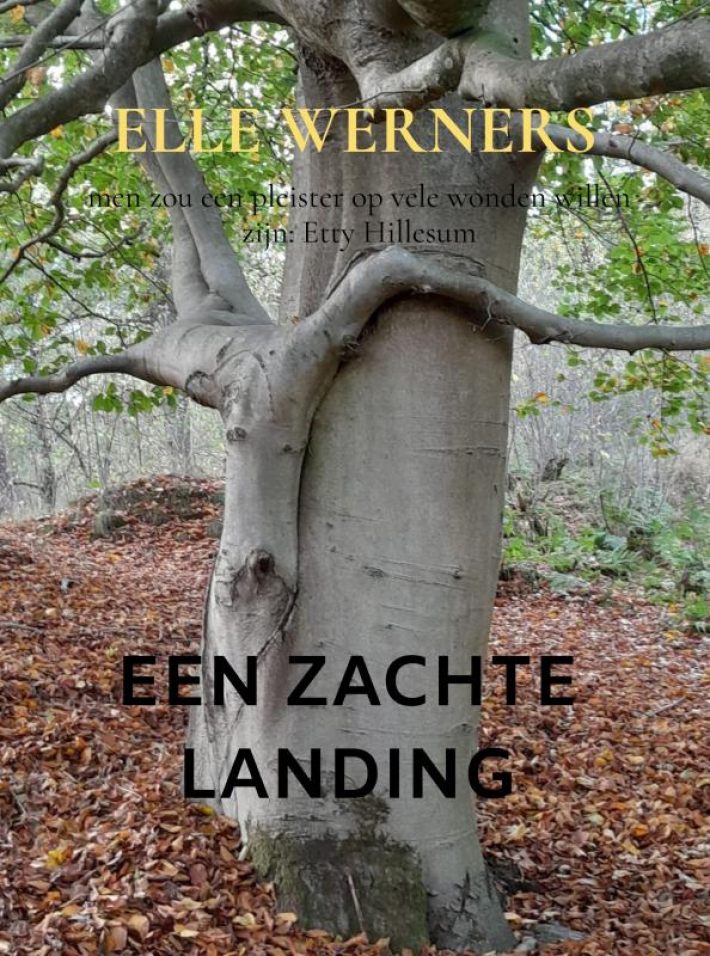 EEN ZACHTE LANDING