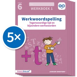 Werkwoordspelling werkboek 1 groep 6 (Set van 5)