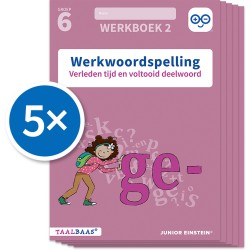 Werkwoordspelling werkboek 2 groep 6 (Set van 5)