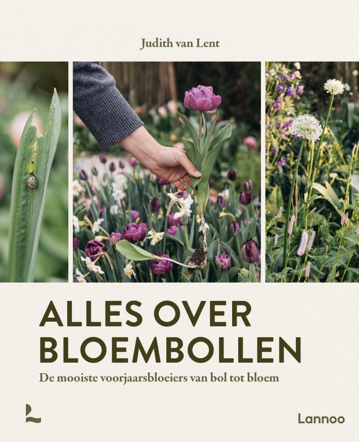 Alles over bloembollen