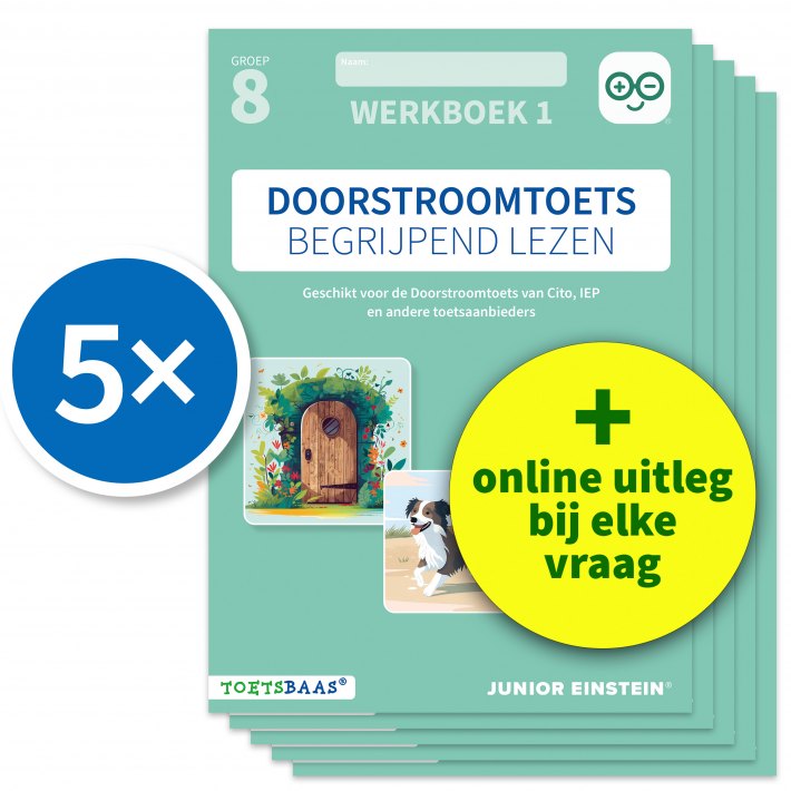 Doorstroomtoets Begrijpend lezen – Werkboek 1 + Online video-uitleg (set van 5)