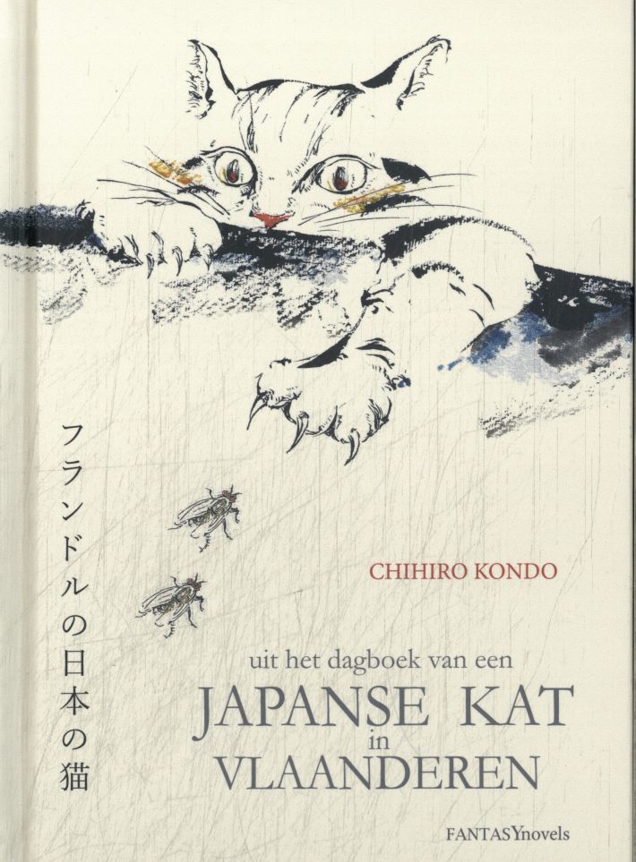 Japanse kat in Vlaanderen