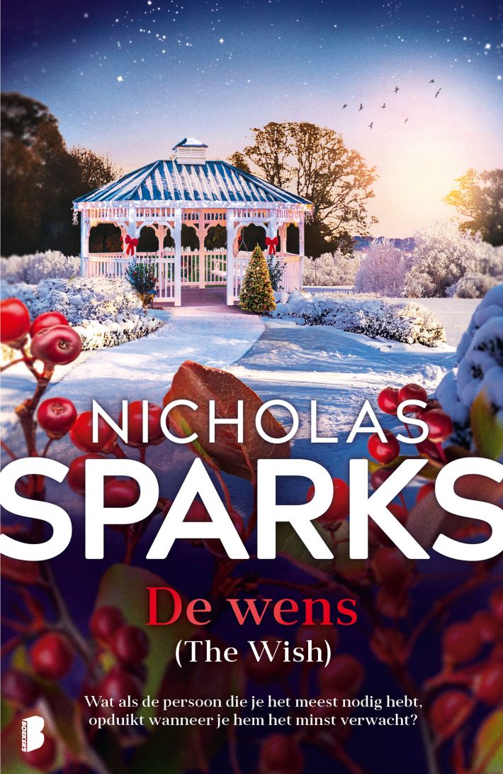 De wens • De wens