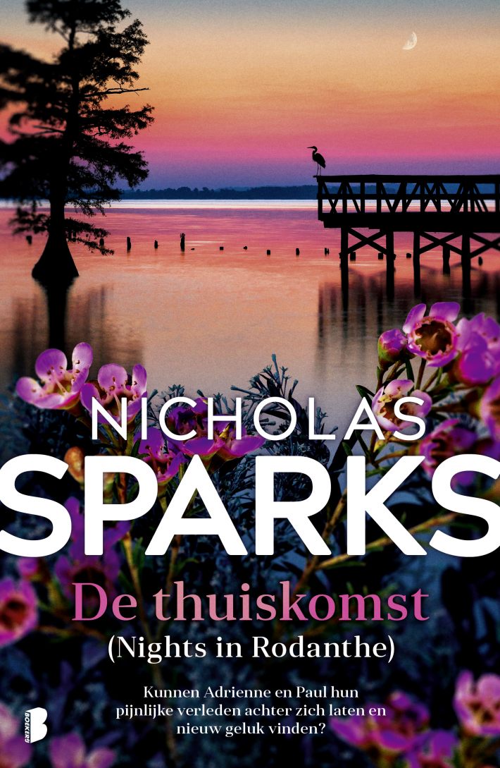 De thuiskomst