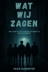 Wat wij zagen