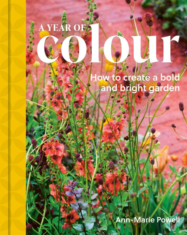 A Year of Colour
