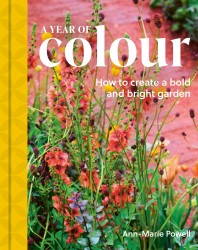 A Year of Colour