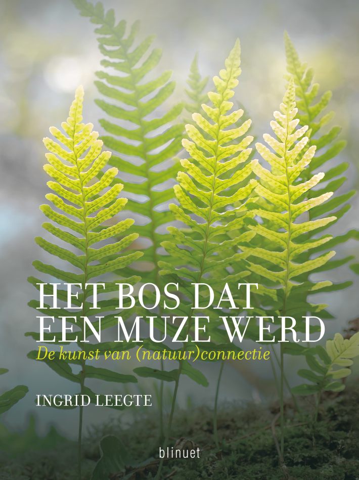 Hoe het bos mijn muze werd