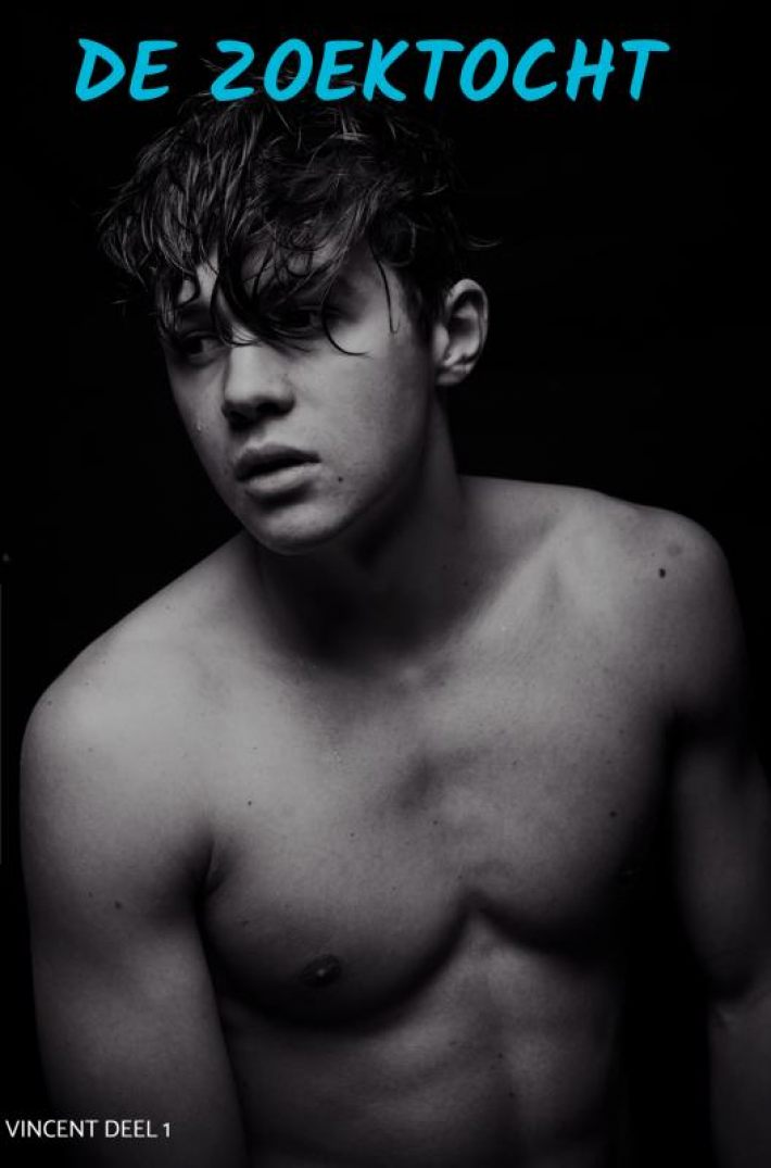 De zoektocht van Vincent naar zijn ware iedentiteit De zoektocht van Vincent naar zijn ware iedentiteit
