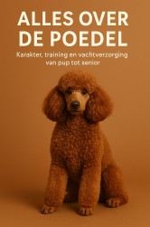 Alles over de Poedel