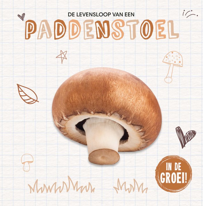 Paddenstoel