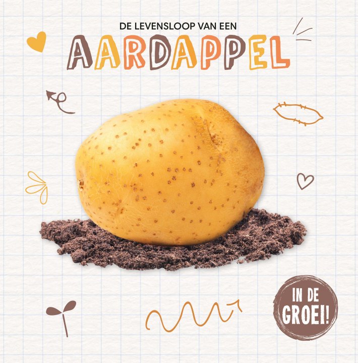 Aardappel