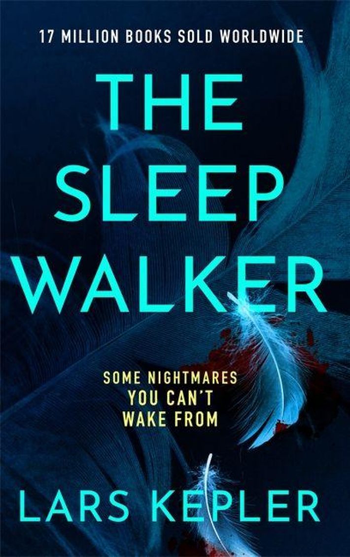 The Sleepwalker The Sleepwalker