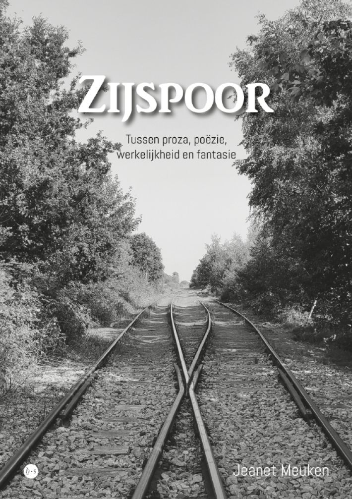 Zijspoor