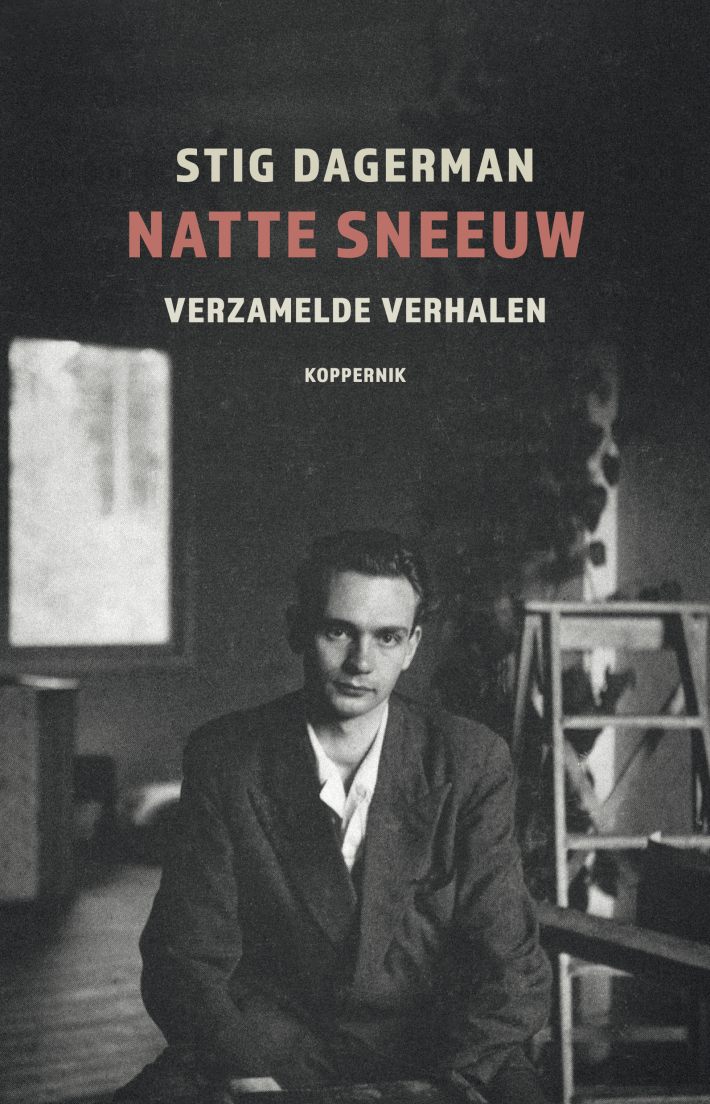 Natte sneeuw Natte sneeuw