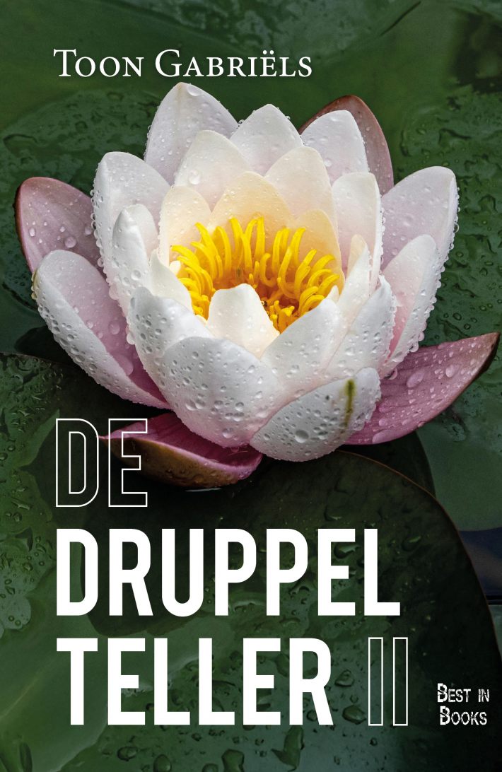 De Druppelteller II